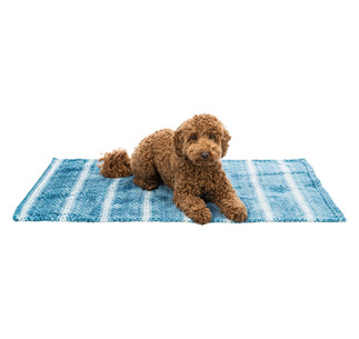 Manta Lumi, Navidad, Felpa, 100 × 70 cm, Petróleo-Blanco