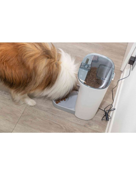 Comedero Automático TX8 2.0