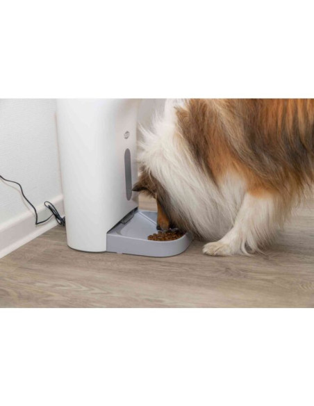 Comedero Automático TX8 2.0