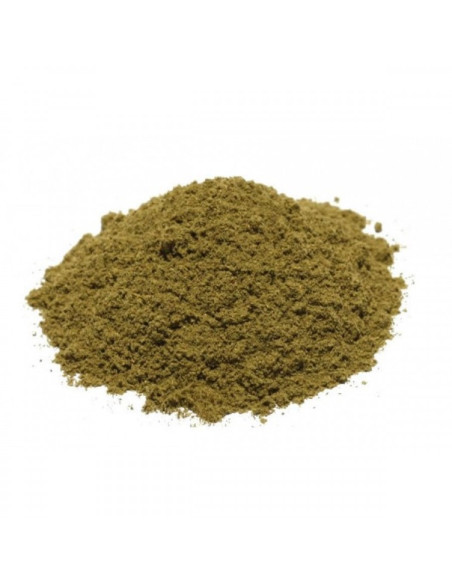 Orégano en polvo puro (Antibiótico natural y bactericida)