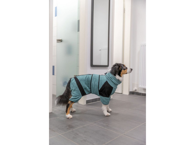 Albornoz y Mono de Hogar para perros