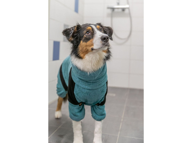 Albornoz y Mono de Hogar para perros