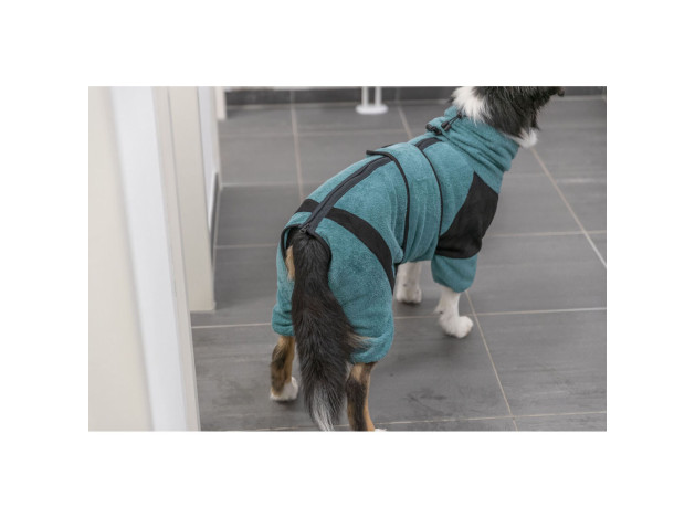 Albornoz y Mono de Hogar para perros