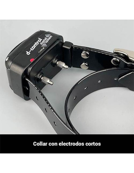 Collar Educativo Dogtrace 200 EASY