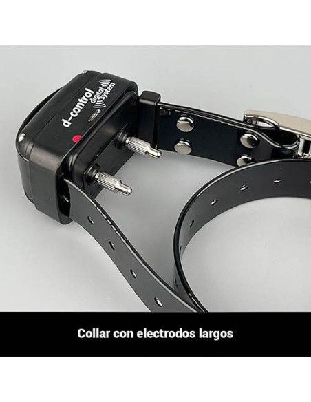 Collar Educativo Dogtrace 200 EASY