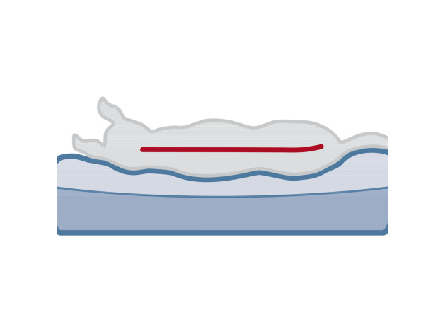 Trixie Cama Vital Lino Gris Claro