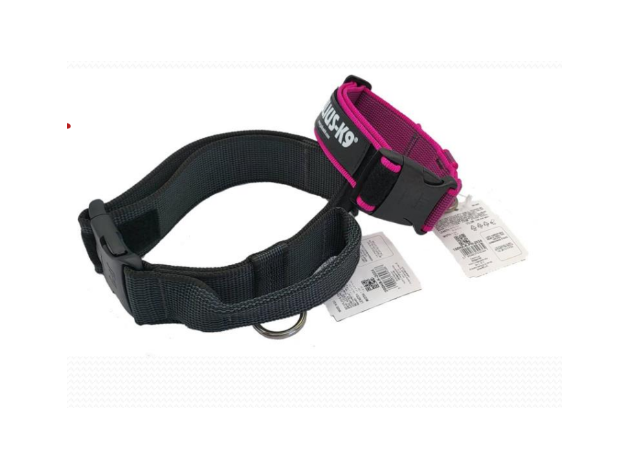 Collar Julius - K9