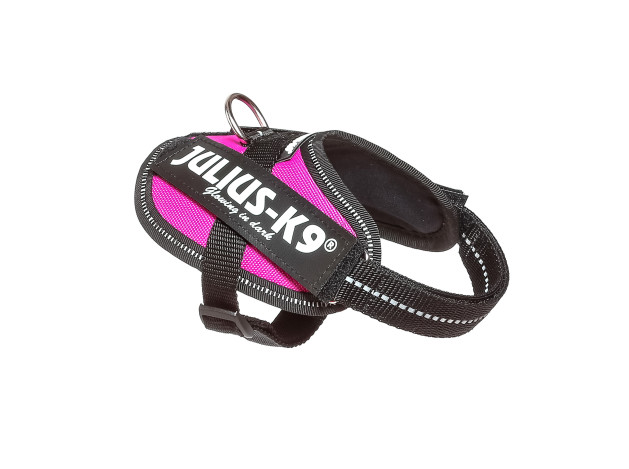 Arnés Julius k-9 IDC Fucsia