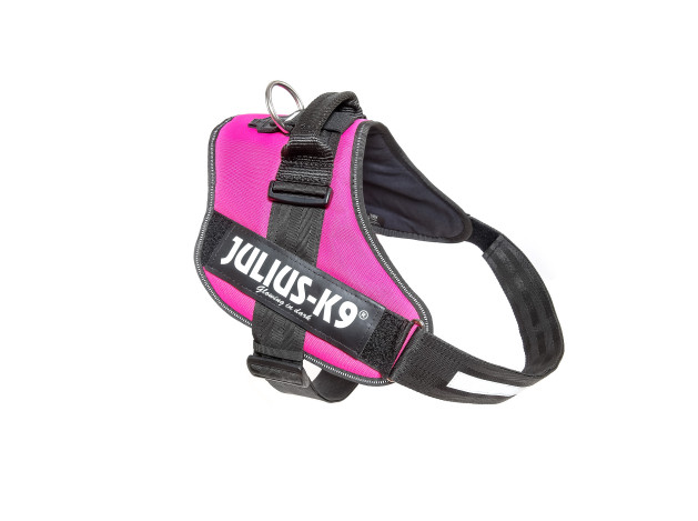Arnés Julius k-9 IDC Fucsia