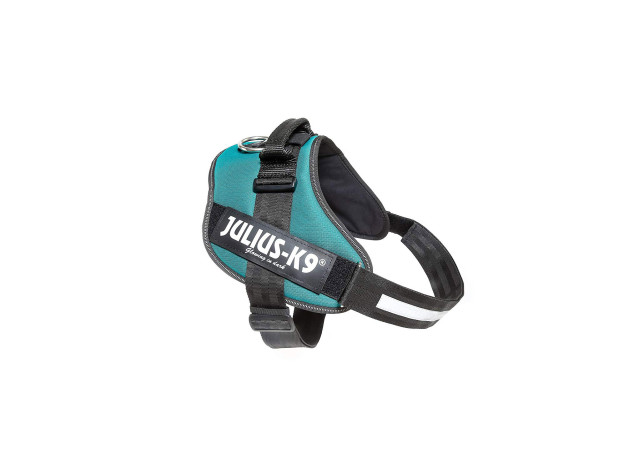 Arnés Julius-K9 IDC Azul Petróleo T2