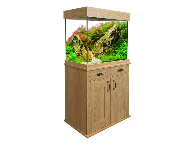 Set Acuario Fluval Shaker 168 l + Mesa