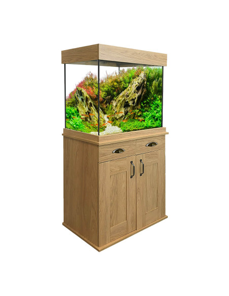 Set Acuario Fluval Shaker 168 l + Mesa