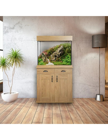 Set Acuario Fluval Shaker 168 l + Mesa