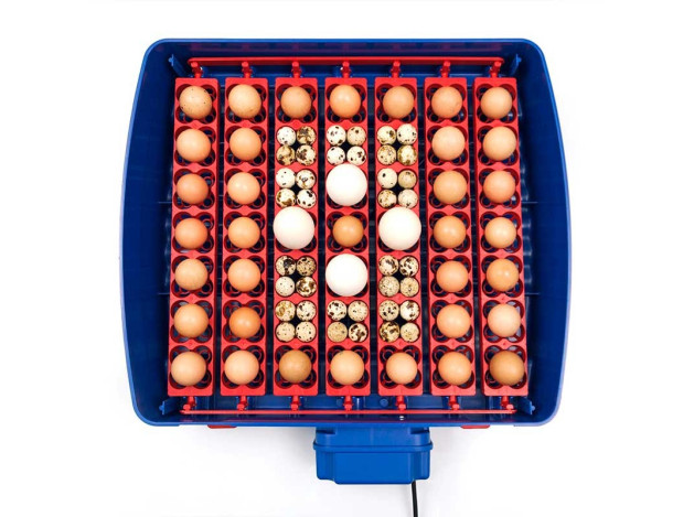 Copele Incubadora REAL 49 Plus