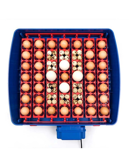 Copele Incubadora REAL 49 Plus