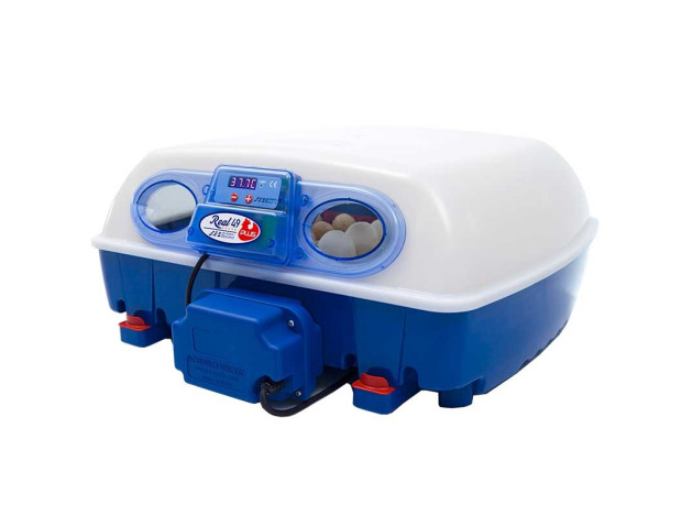 Incubadora REAL 49 Plus + Humidificador Sirio