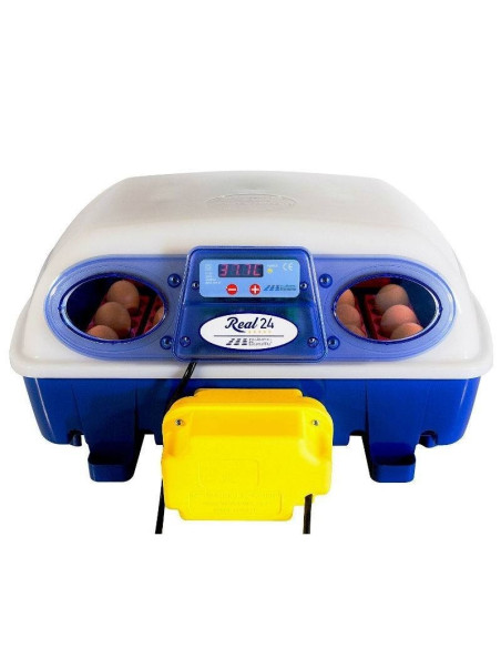 INCUBADORA REAL 49 AUT + HUMIDIF SIRIO