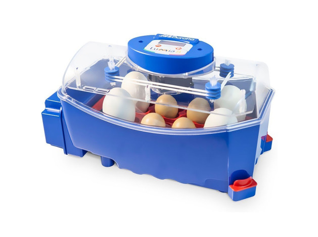 Incubadora Lumia 8 + Humidificador Sirio