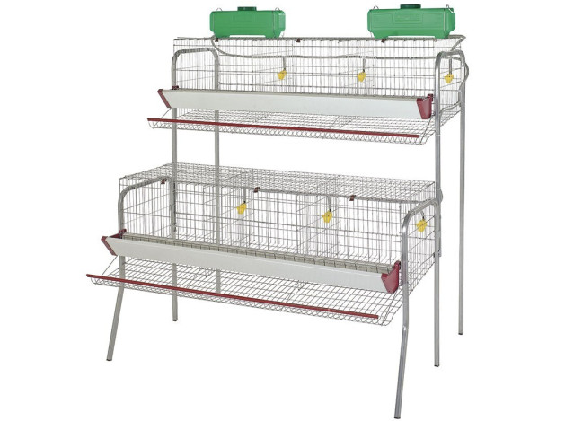 Batería de Gallinas Ponedoras 6 dpto