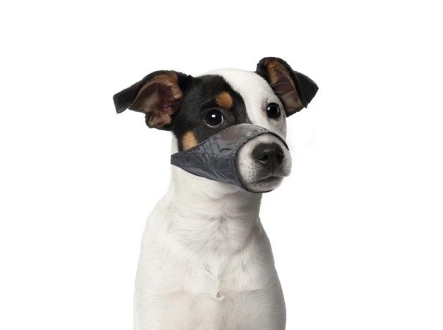Bozal DUVO+ de nylon ajustable para perros – ligero y seguro