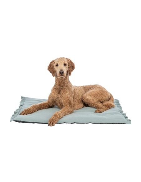 Colchoneta Amelie Savia