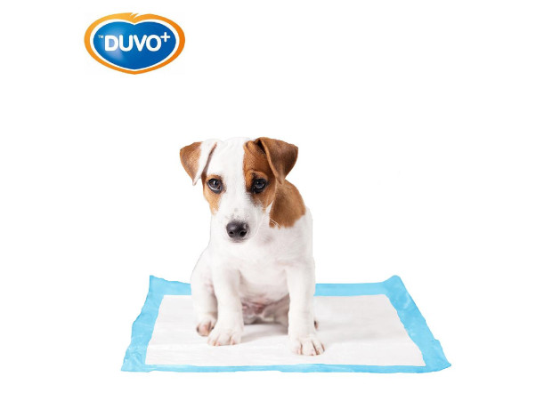 DUVO EMPAPADORES DE ORINA 7 UNI
