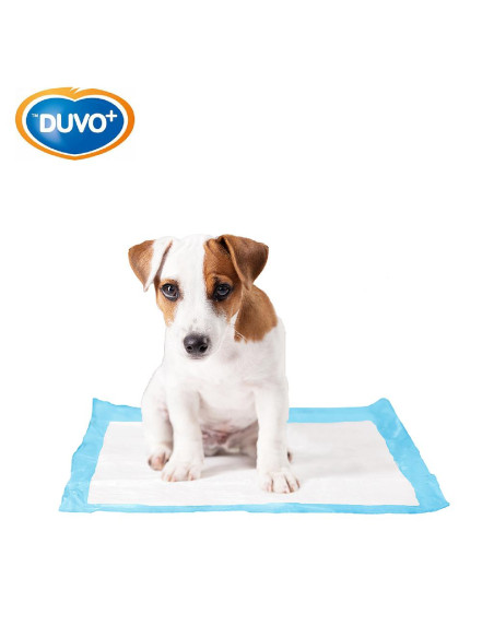 DUVO EMPAPADORES DE ORINA 7 UNI