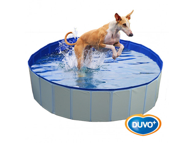 Piscina Plegable para Perros Resistente con...