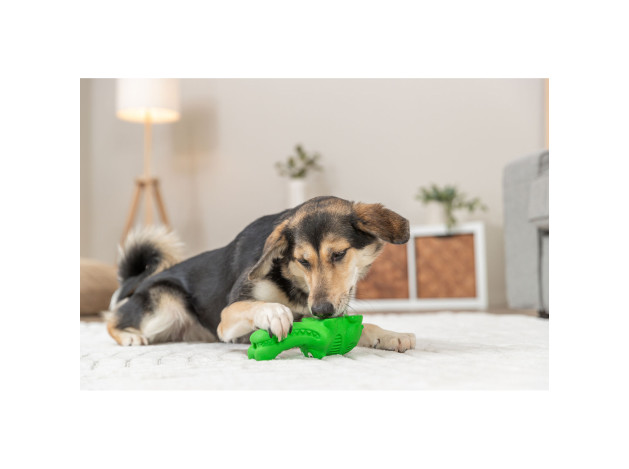 TRIXIE Snack Cocodrilo para Perros
