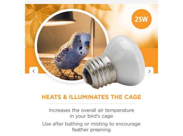 Bombilla Daytime Basking Light Vision  25W