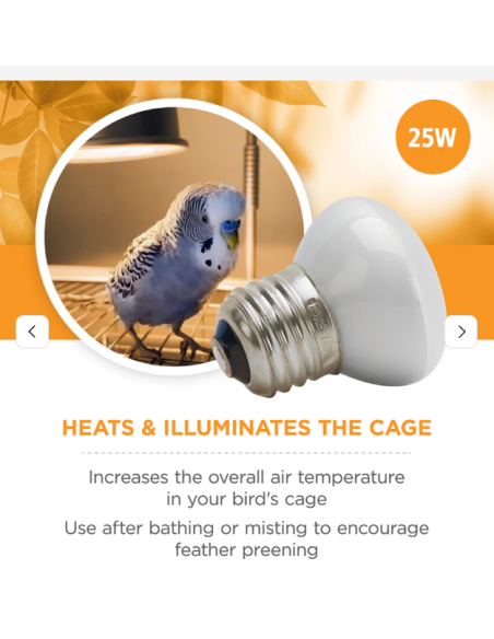 Bombilla Daytime Basking Light Vision  25W