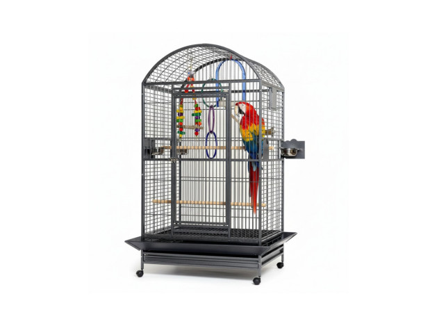 Jaula Loro Castle