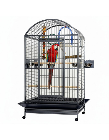 Jaula Loro Castle