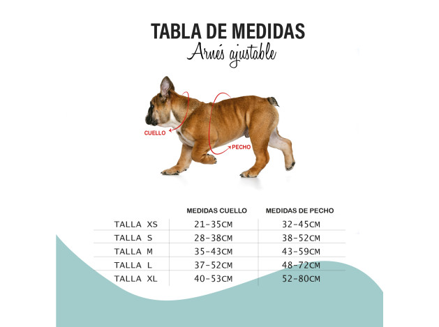 Oferta BULL ARNES DUO PAWS LIFE T-M