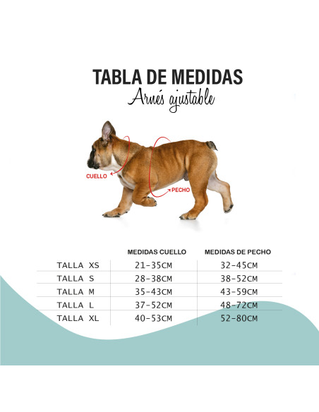 Oferta BULL ARNES DUO PAWS LIFE T-M