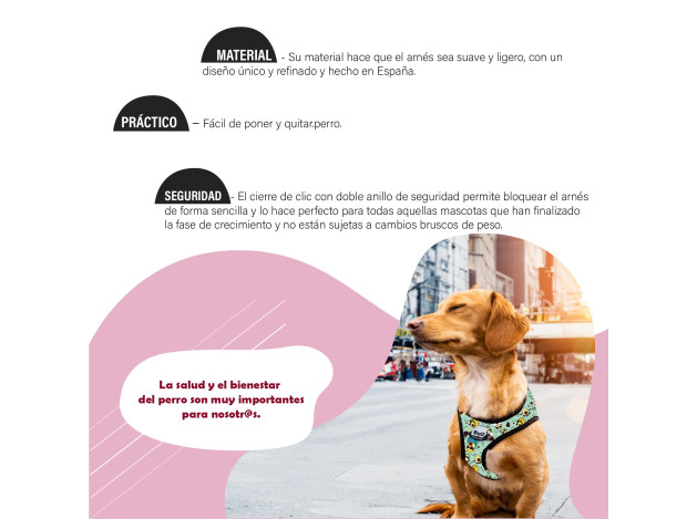 Oferta BULL ARNES DUO PAWS LIFE T-M