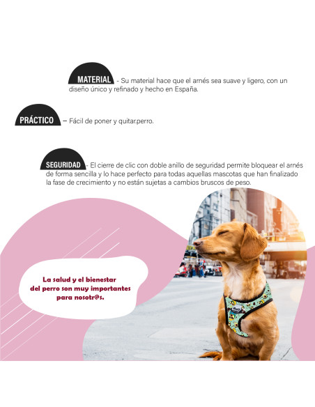 Oferta BULL ARNES DUO PAWS LIFE T-M