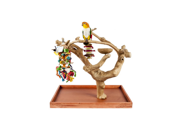 Java Mini Tree Small