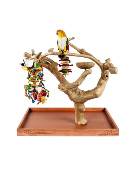 Java Mini Tree Small