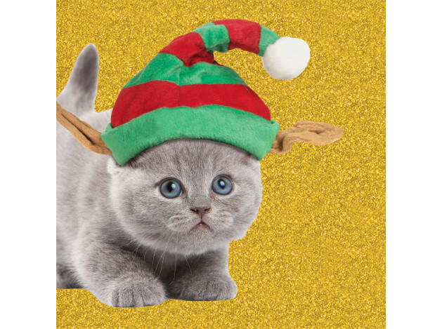 Tarjeta Gatito con Gorro de Navidad