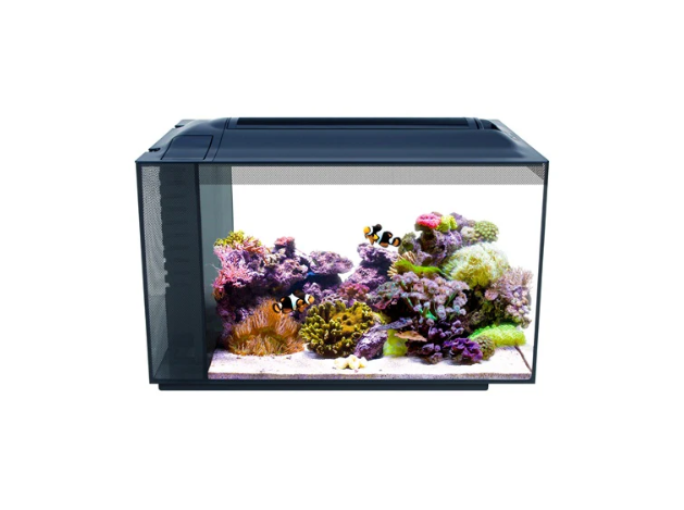 Fluval Evo Acuario Marino, Negro, 52L