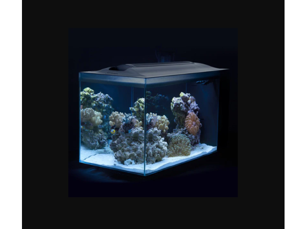 Fluval Evo Acuario Marino, Negro, 52L