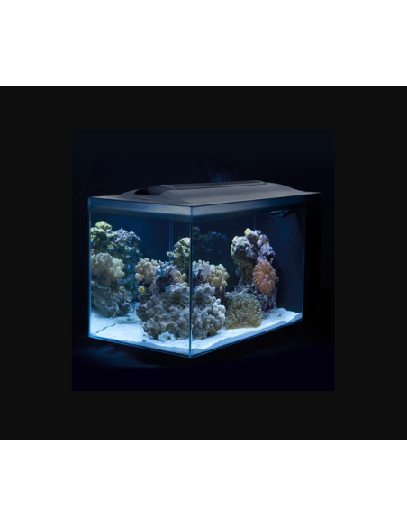 Fluval Evo Acuario Marino, Negro, 52L