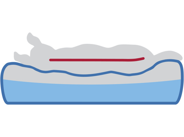 Trixie Cojín Samoa Vital