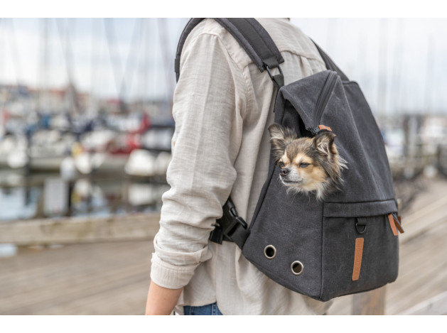 BE NORDIC Mochila Bjorn