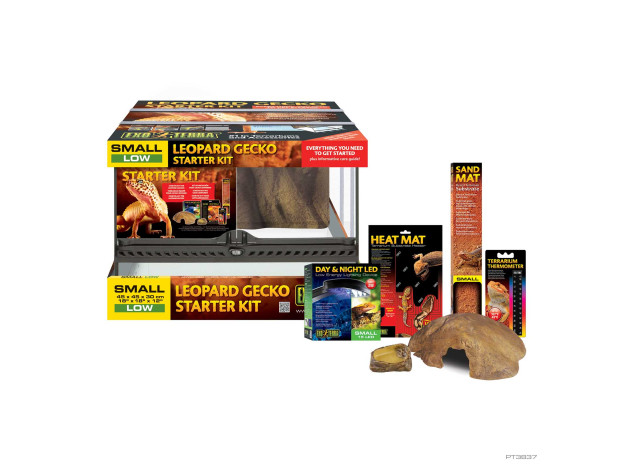 Exo Terra Gecko Starter Kit