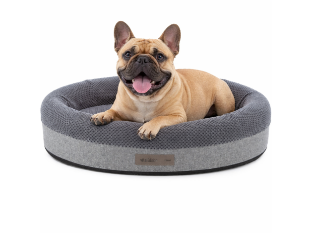 Cama Vital Eliano Ortopédica para perros