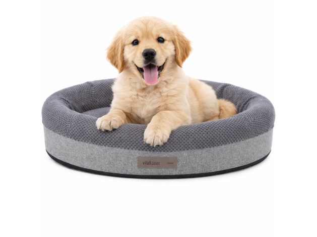 Cama Vital Eliano Ortopédica para perros