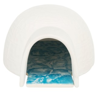 Iglú con placa de refrigeración