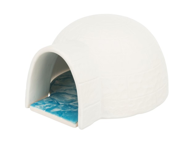 Iglú con placa de refrigeración